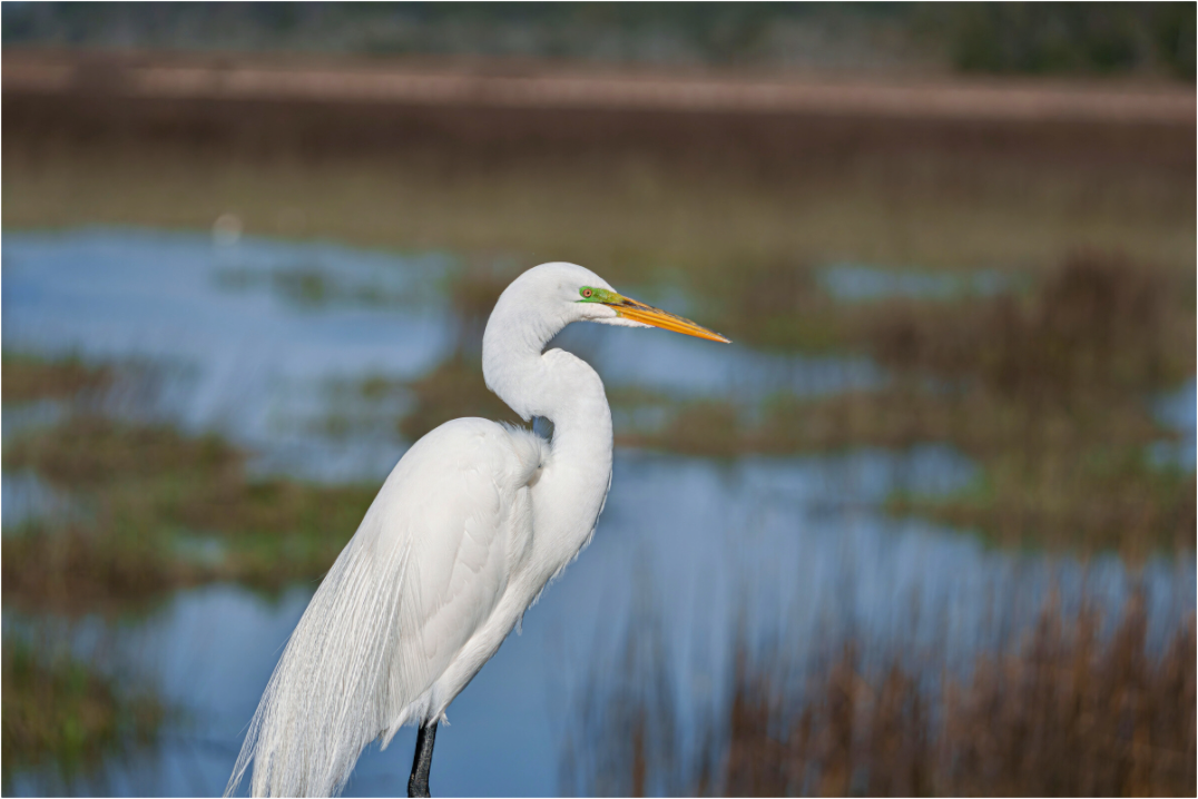 South Carolina