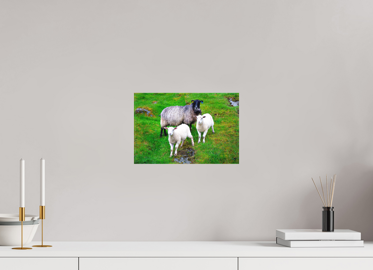 12 x 8″, Canvas Print Norway15
