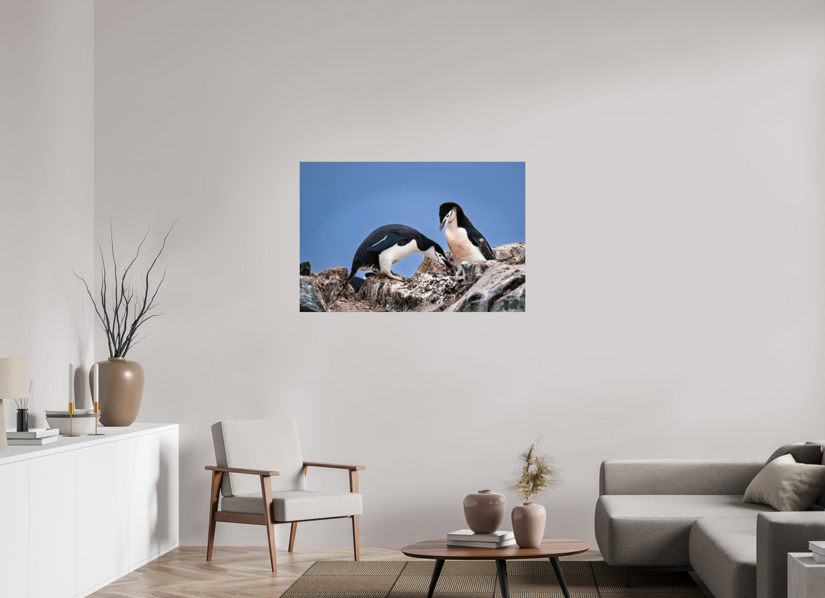 45 x 30″, Glossy Print (Unframed) A6