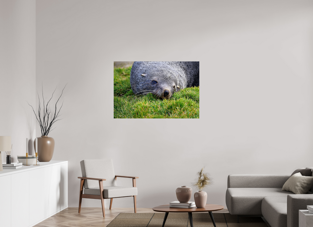 45 x 30″, Glossy Print (Unframed) A22