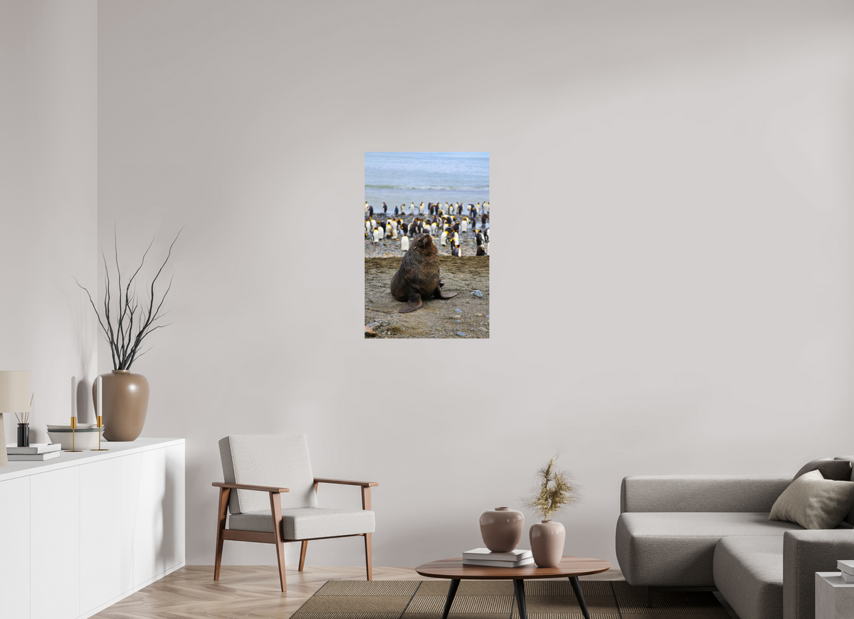 24 x 36″, Glossy Print (Unframed) A11