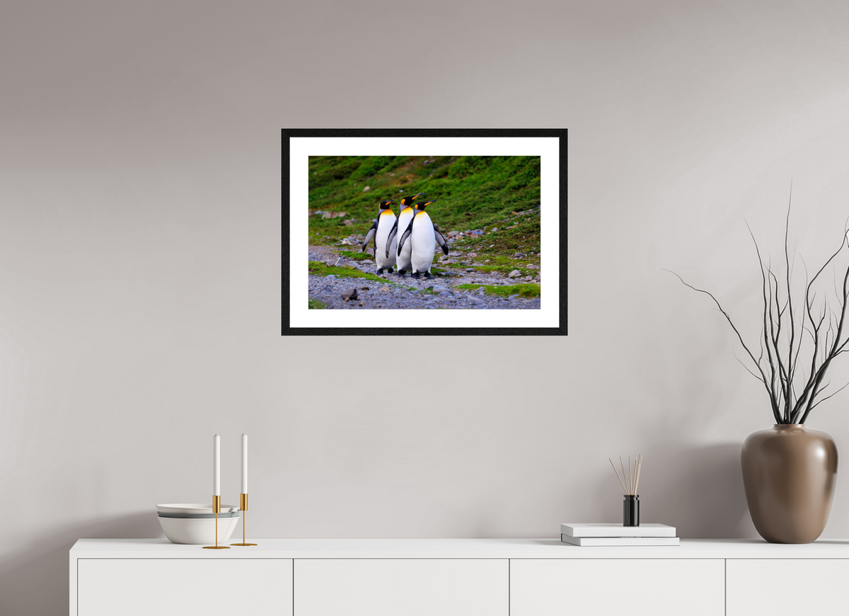 24 x 16″, Glossy Print (Framed) A18