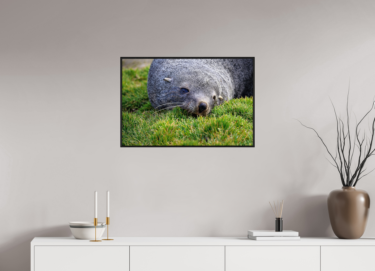 30 x 20″, Acrylic under Glass (Framed) A22