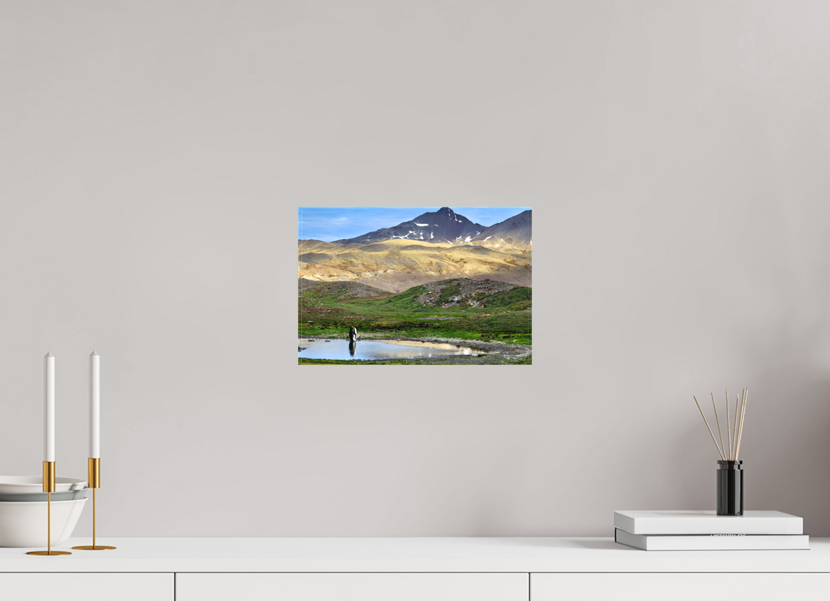 12 x 8″, Canvas Print A21
