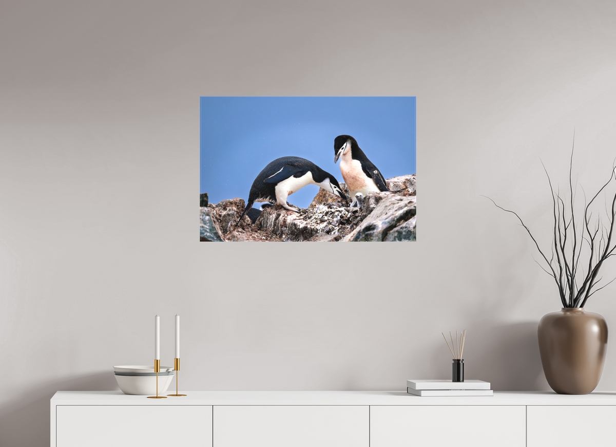 30 x 20″, Canvas Print A6