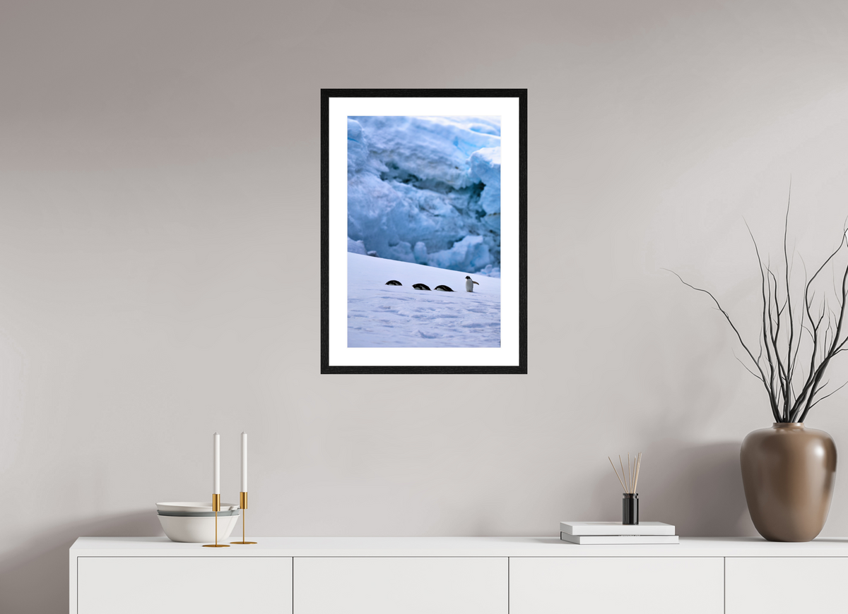 16 x 24″, Glossy Print (Framed) A4