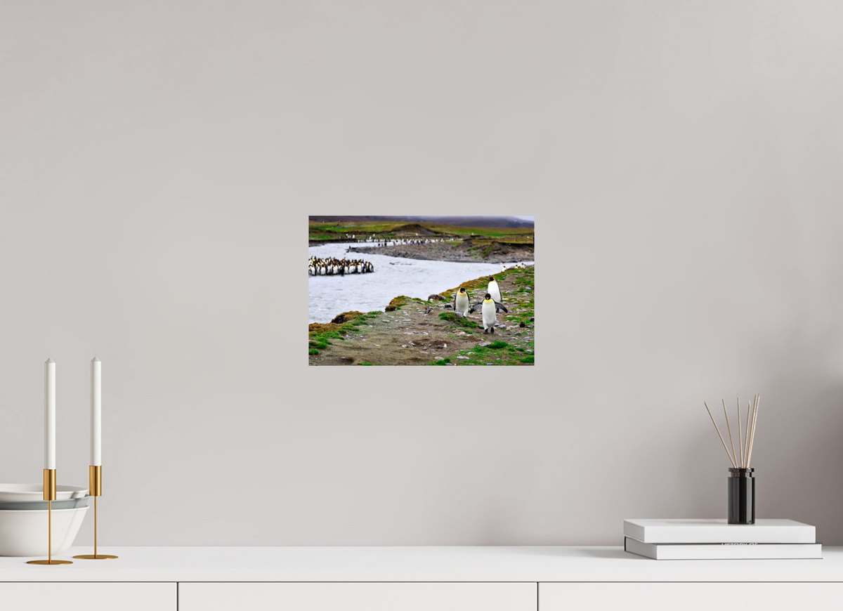 12 x 8″, Glossy Print (Unframed) A14