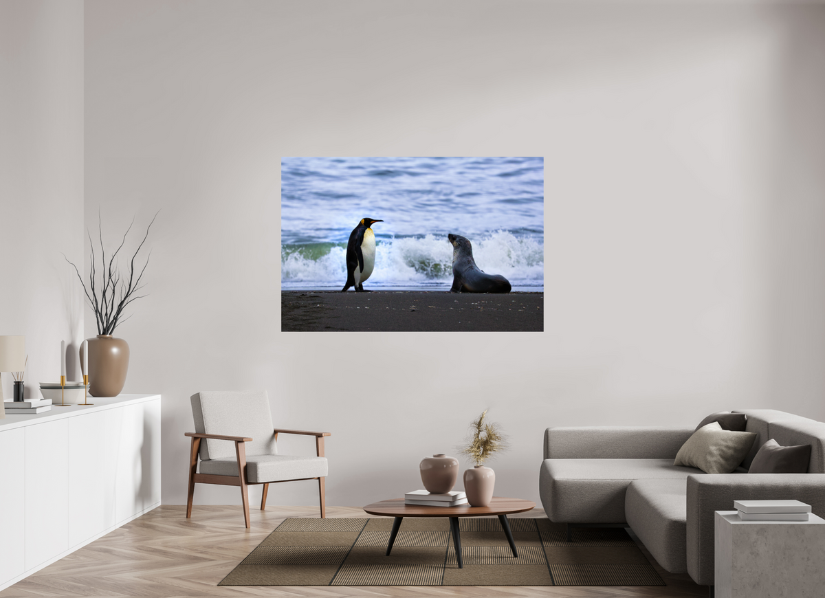 66 x 44″, Glossy Print (Unframed) A16