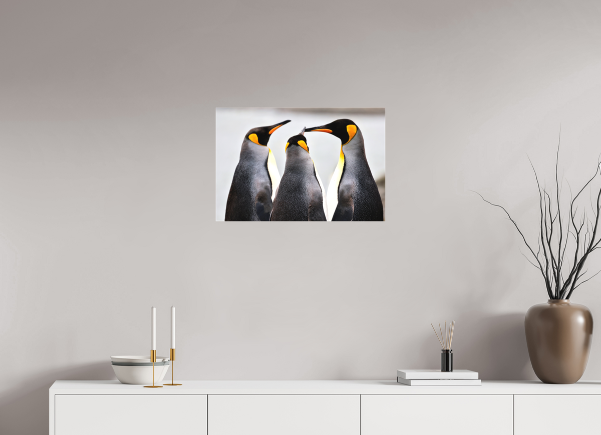 24 x 16″, Canvas Print A12