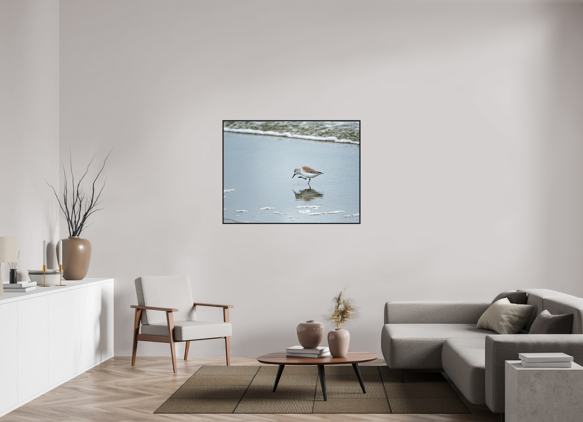 48 x 36″, Acrylic under Glass (Framed) A Sanderling Scratch
