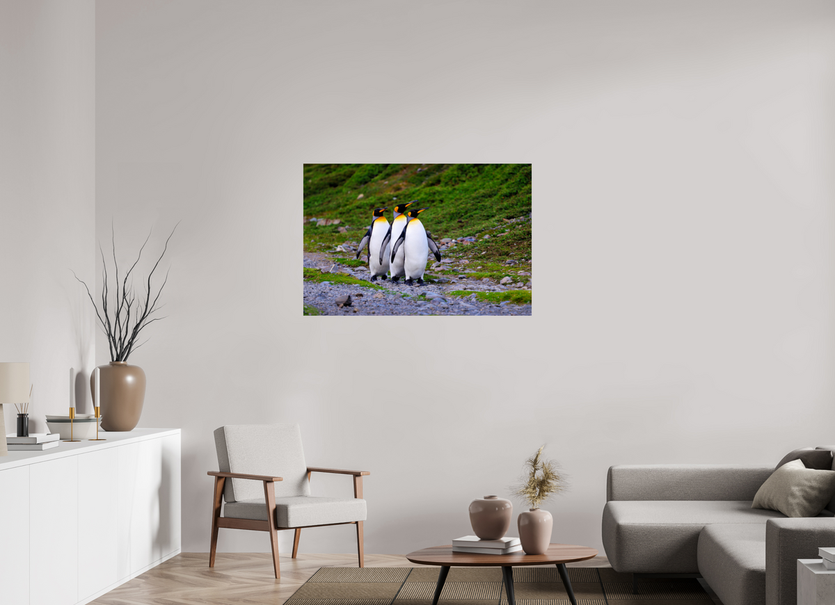 45 x 30″, Glossy Print (Unframed) A18