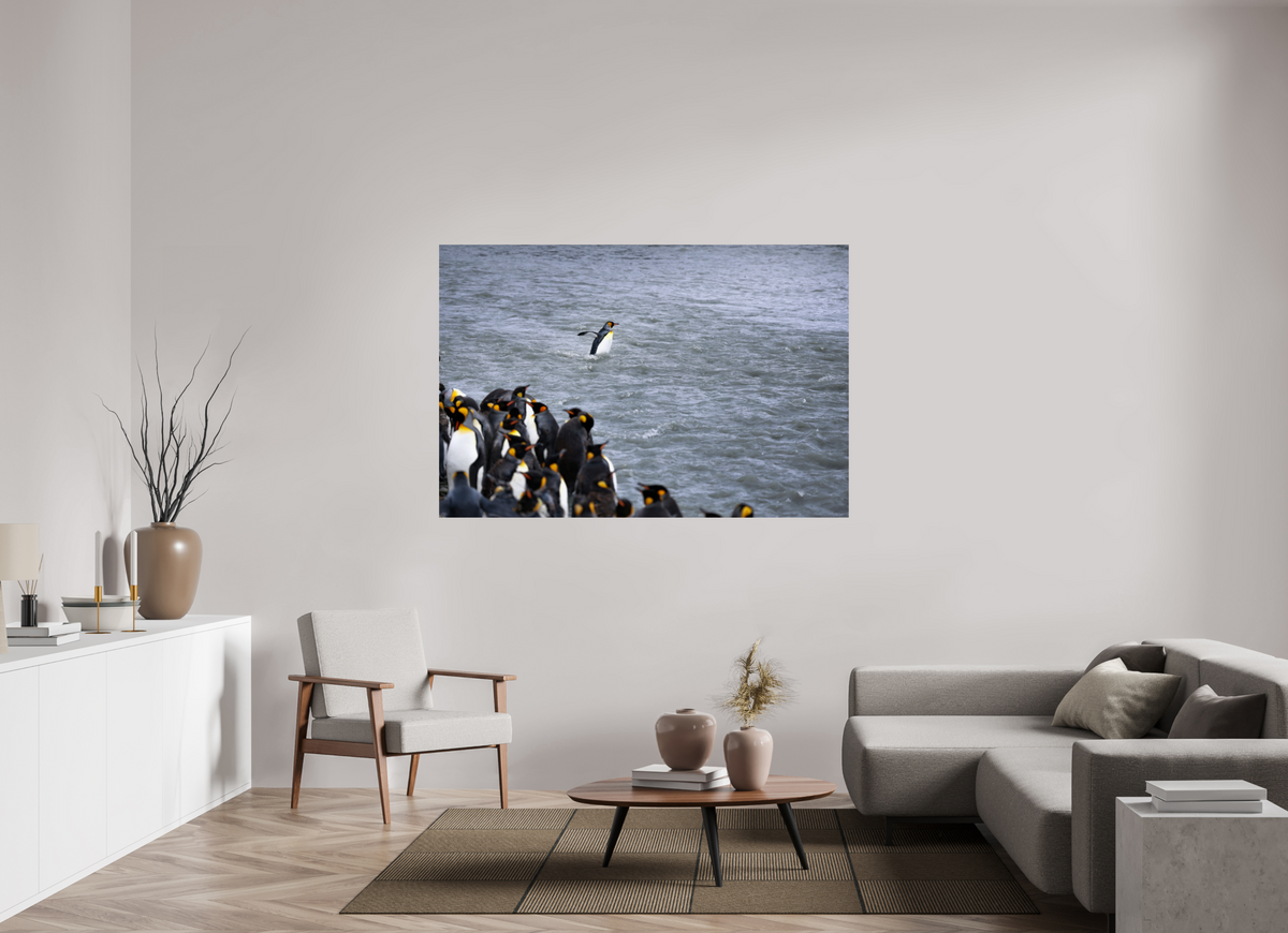 66 x 44″, Glossy Print (Unframed) A15