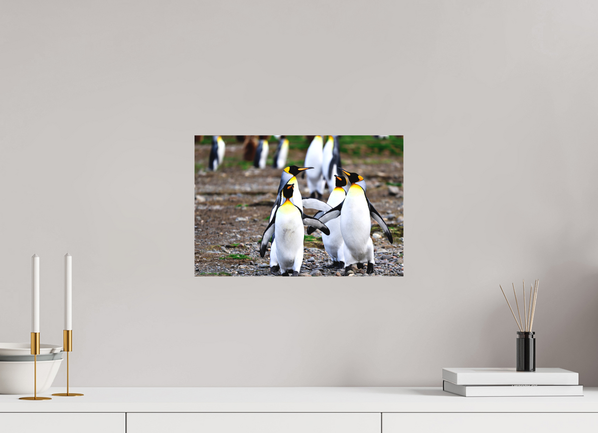 15 x 10″, Canvas Print A20