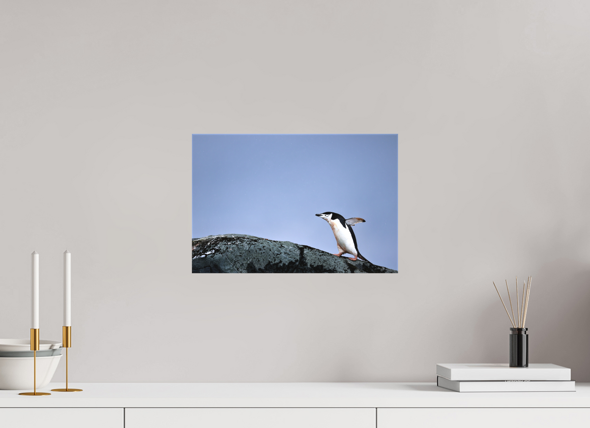 15 x 10″, Canvas Print A7