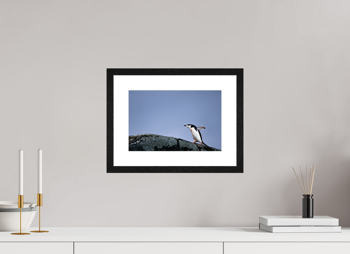 12 x 8″, Glossy Print (Framed) A7