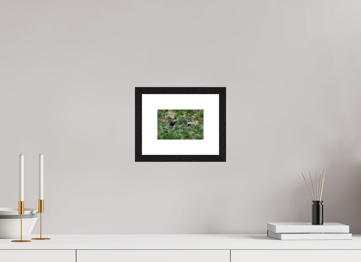6 x 4″, Glossy Print (Framed) A23