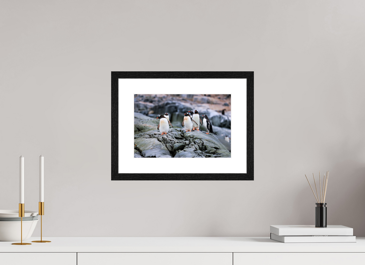 12 x 8″, Glossy Print (Framed) A1