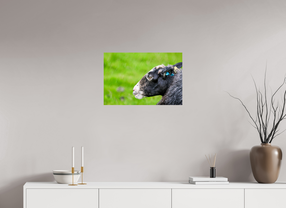 24 x 16″, Glossy Print (Unframed) Norway14