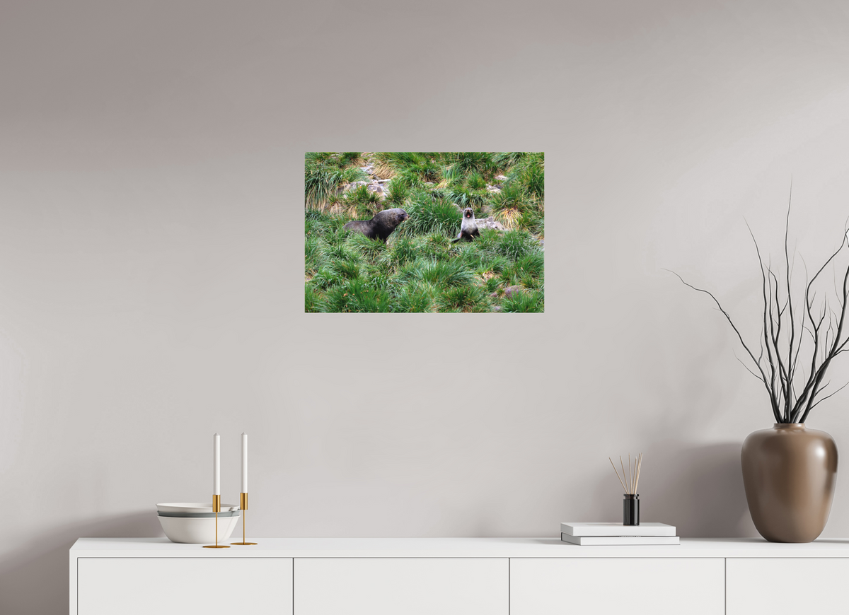 24 x 16″, Canvas Print A23