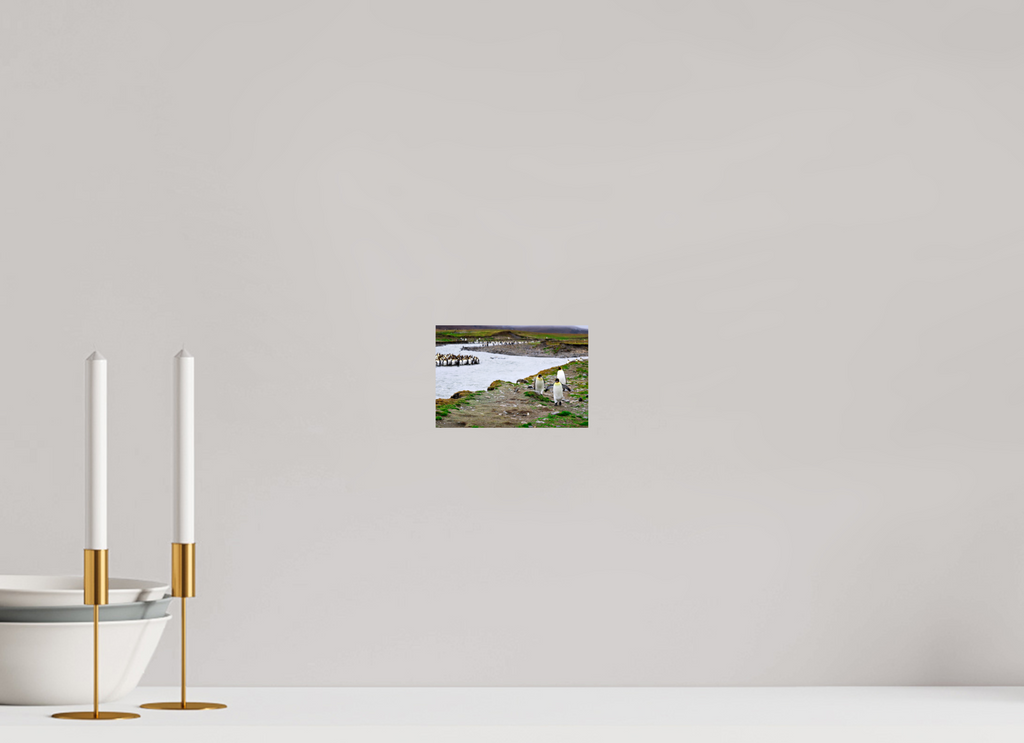 6 x 4″, Glossy Print (Unframed) A14