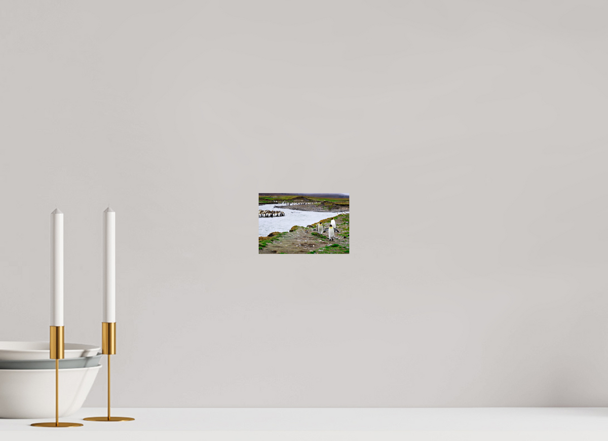 6 x 4″, Glossy Print (Unframed) A14
