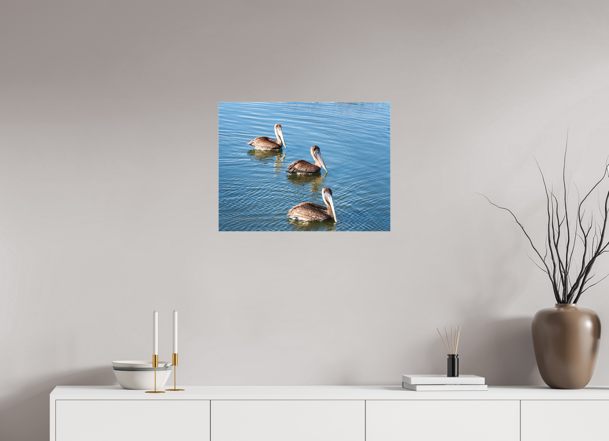 24 x 18″, Canvas Print Triple Brown Pelican