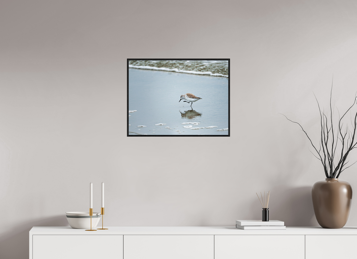 24 x 18″, Acrylic under Glass (Framed) A Sanderling Scratch