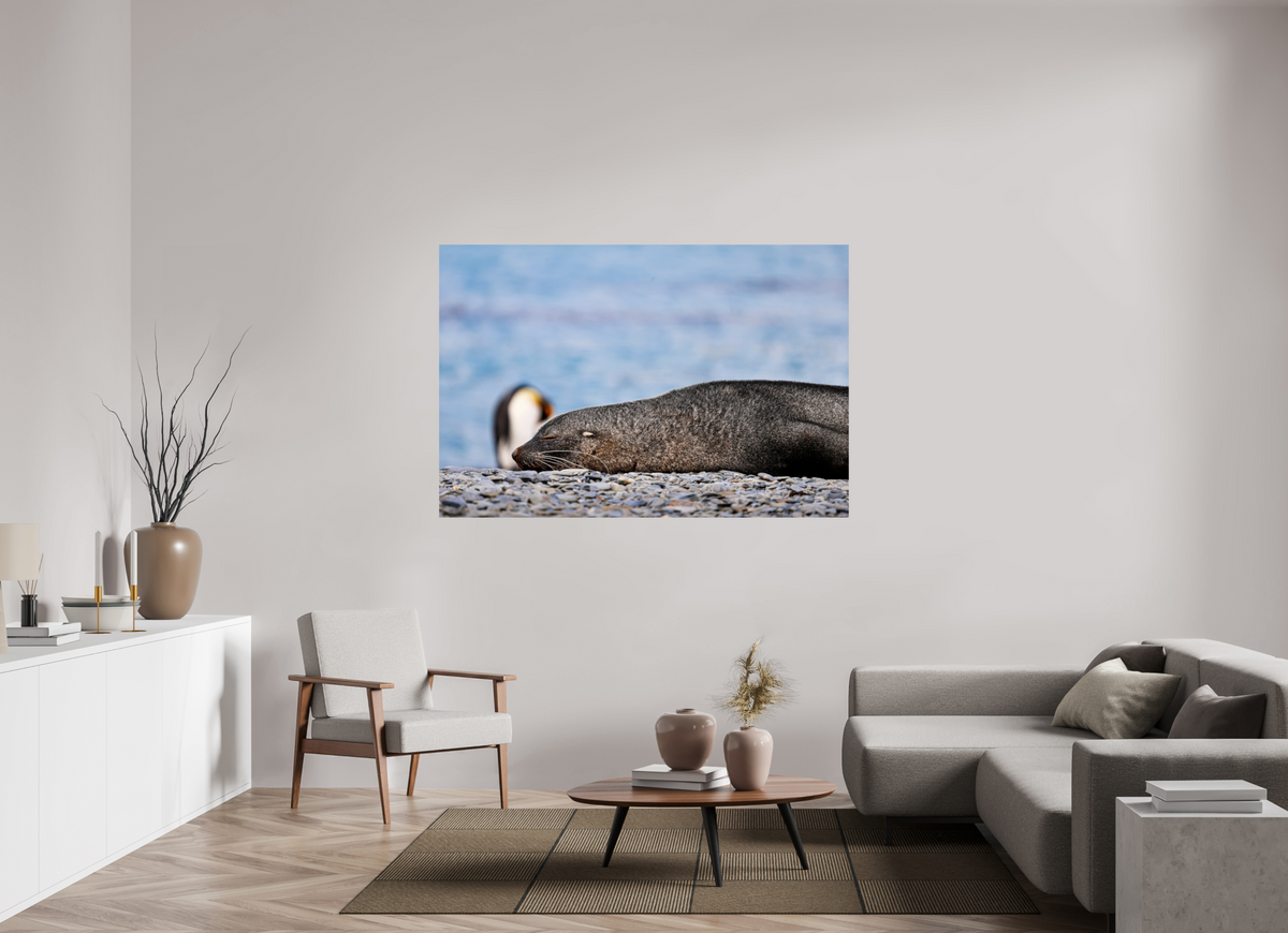 66 x 44″, Glossy Print (Unframed) A17