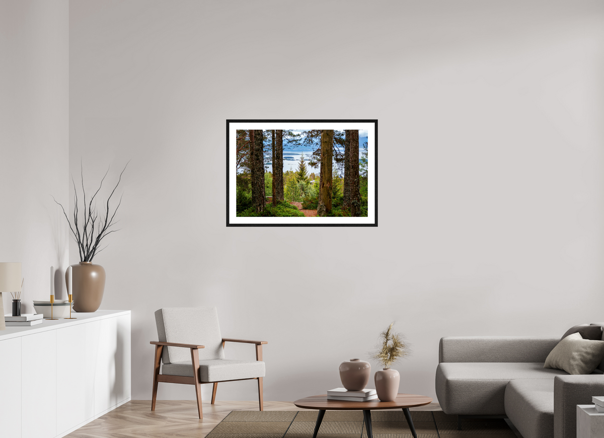 36 x 24″, Glossy Print (Framed) Norway5