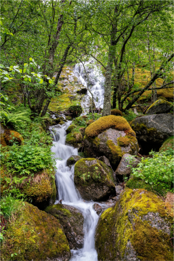 Main image Norway10
