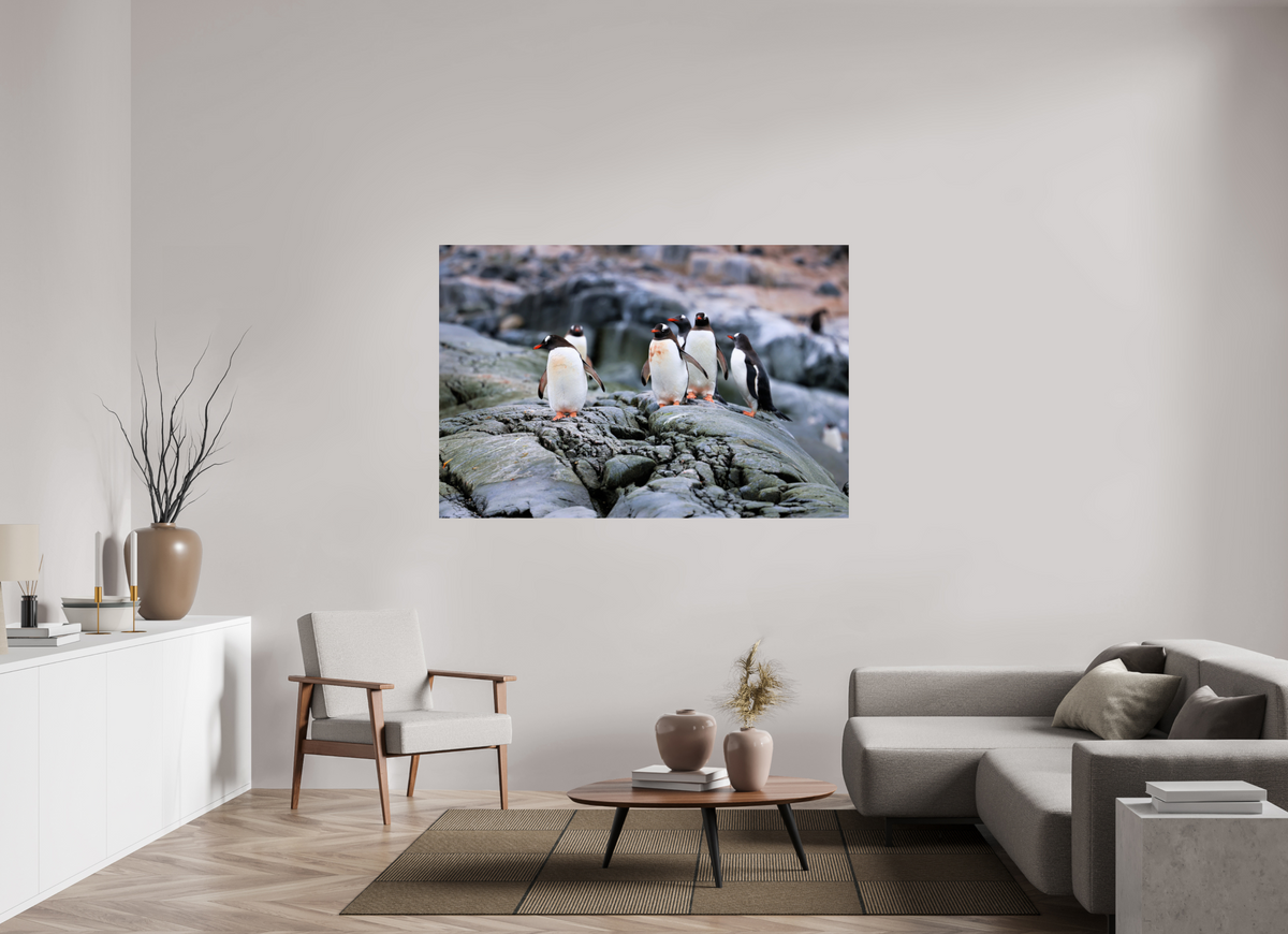 66 x 44″, Glossy Print (Unframed) A1