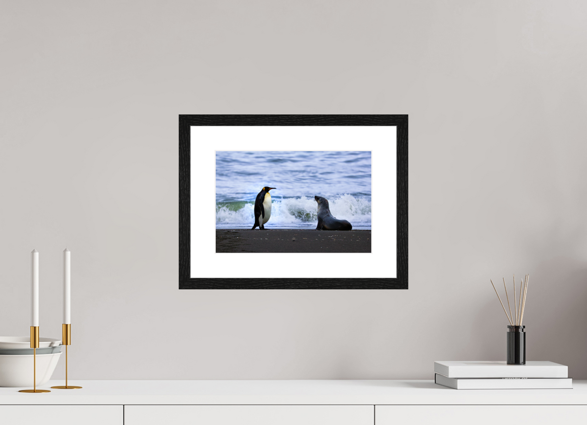 12 x 8″, Glossy Print (Framed) A16