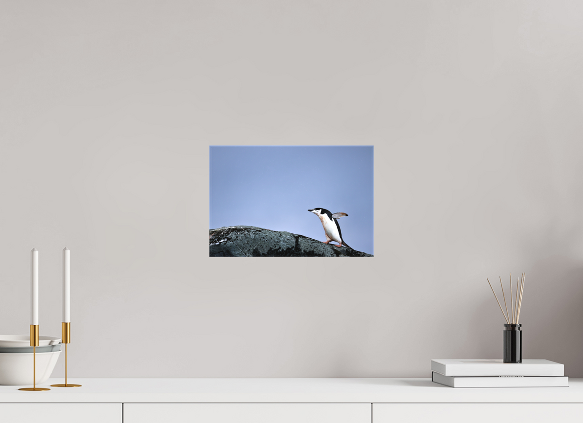 12 x 8″, Canvas Print A7