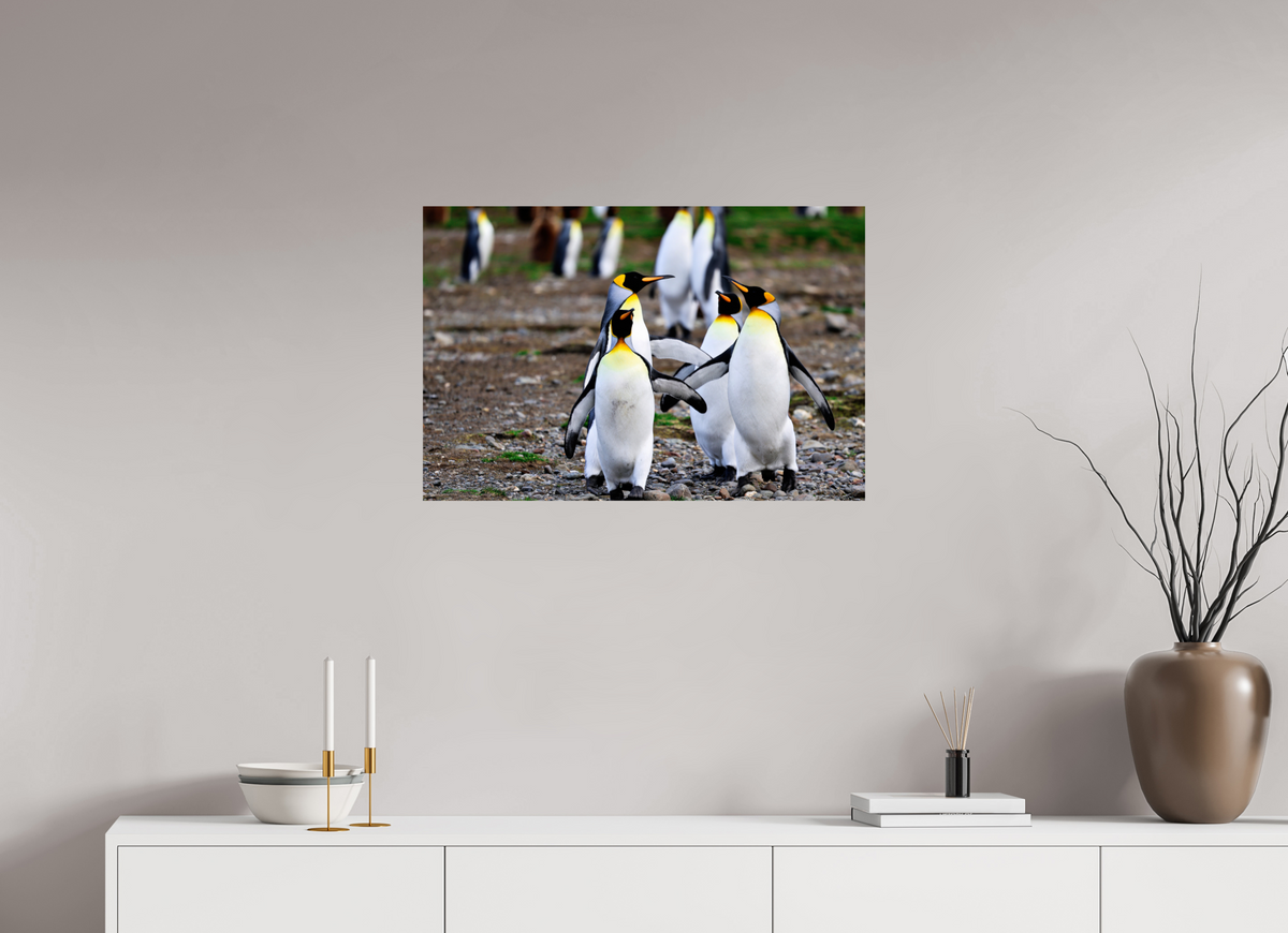 30 x 20″, Glossy Print (Unframed) A20
