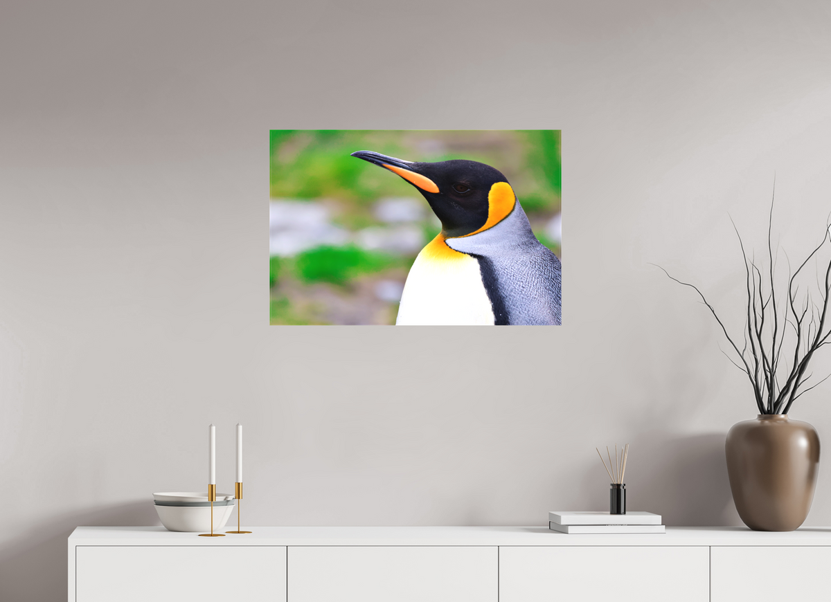 30 x 20″, Canvas Print A12