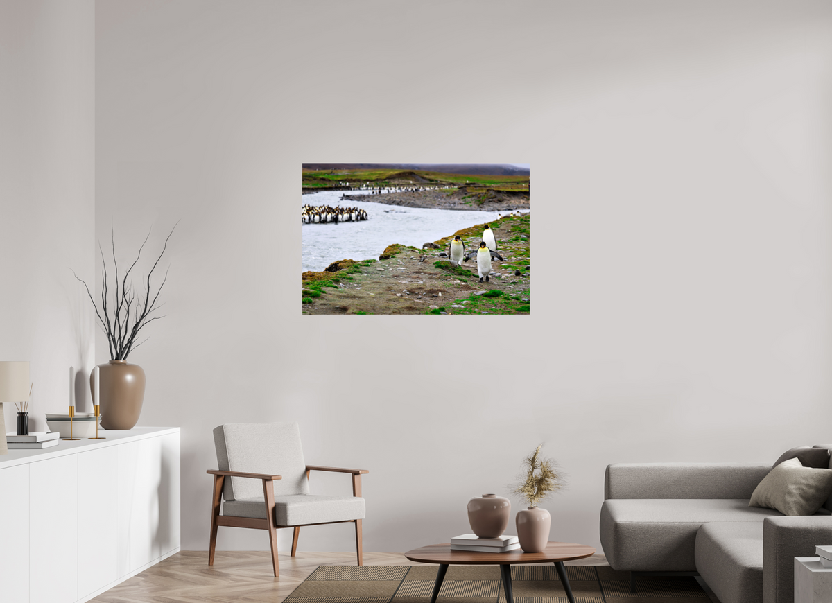 45 x 30″, Glossy Print (Unframed) A14