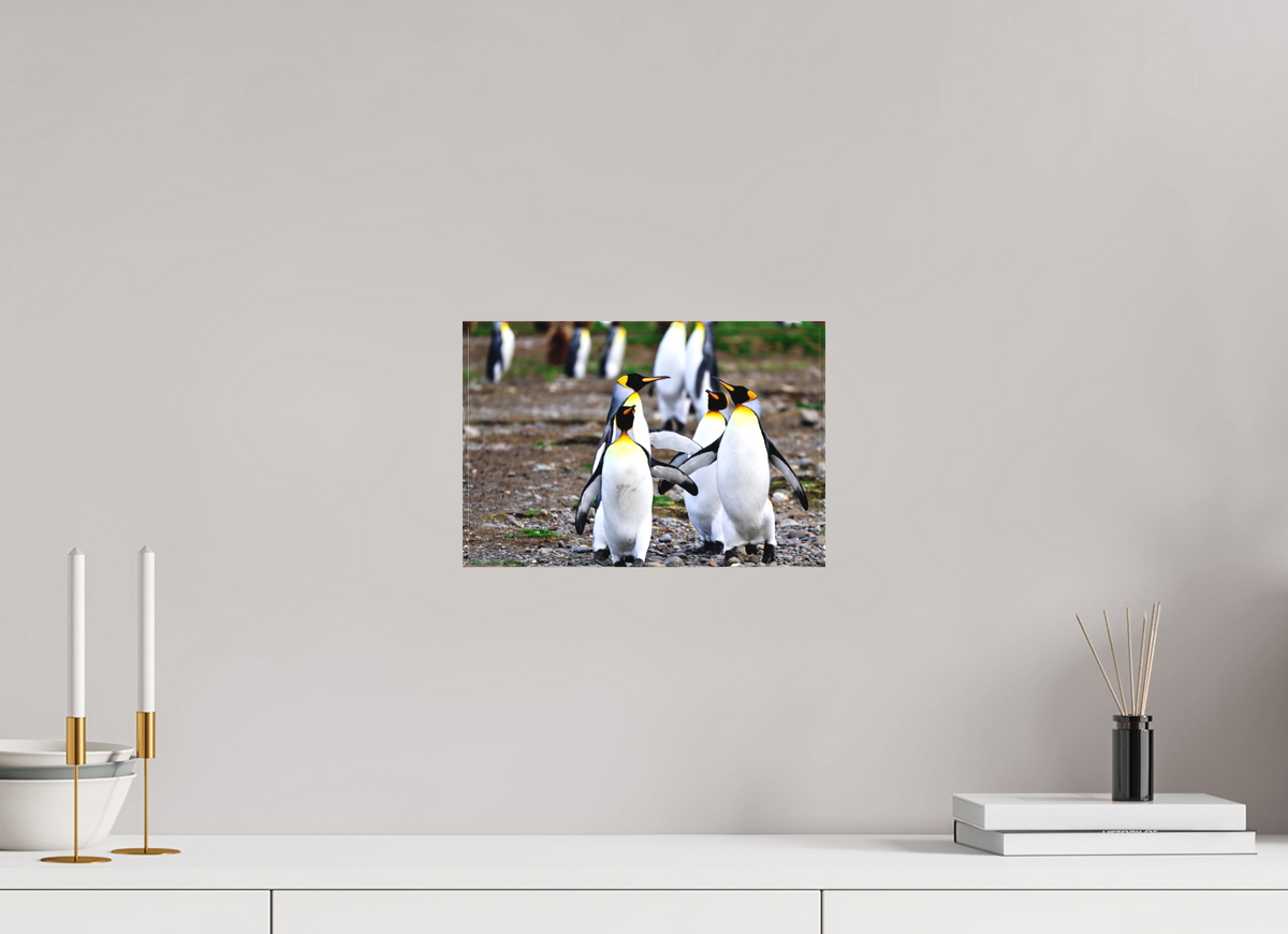 12 x 8″, Canvas Print A20