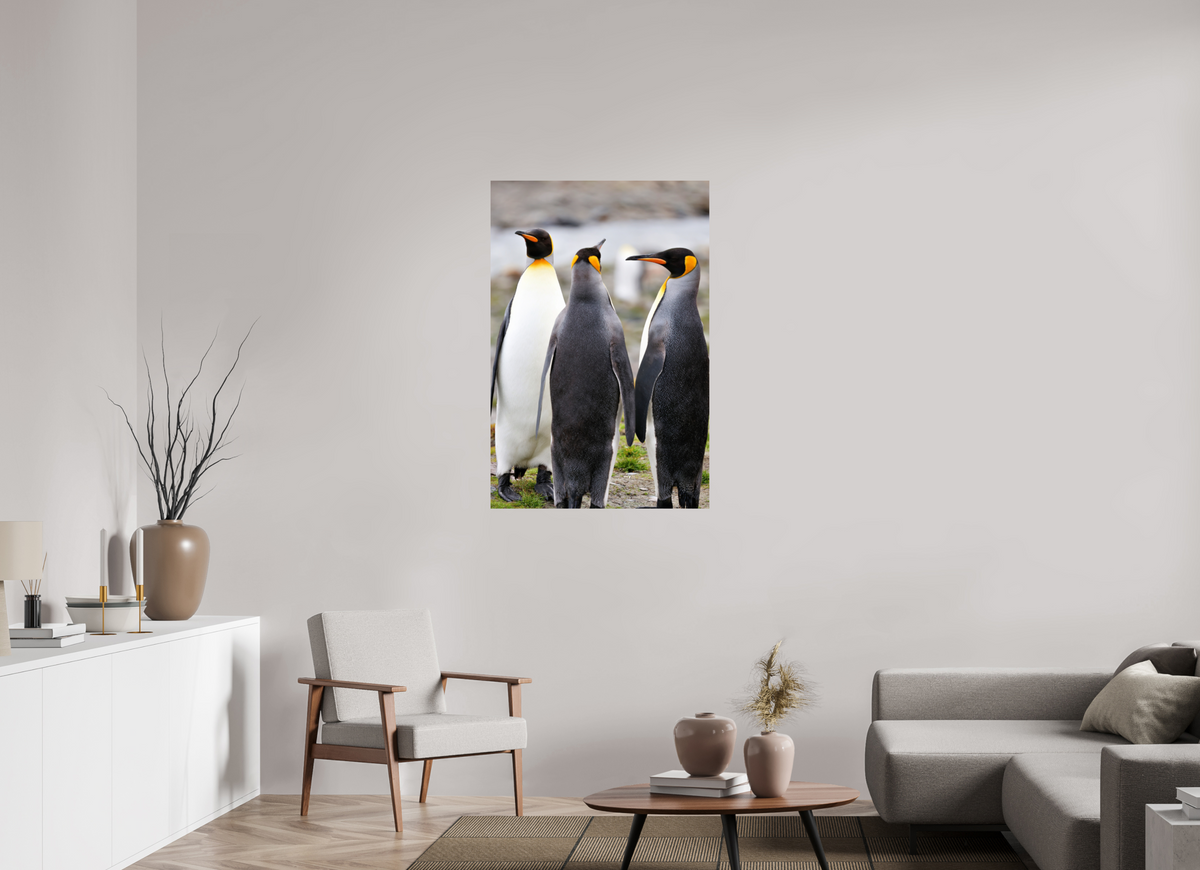 30 x 45″, Glossy Print (Unframed) A13