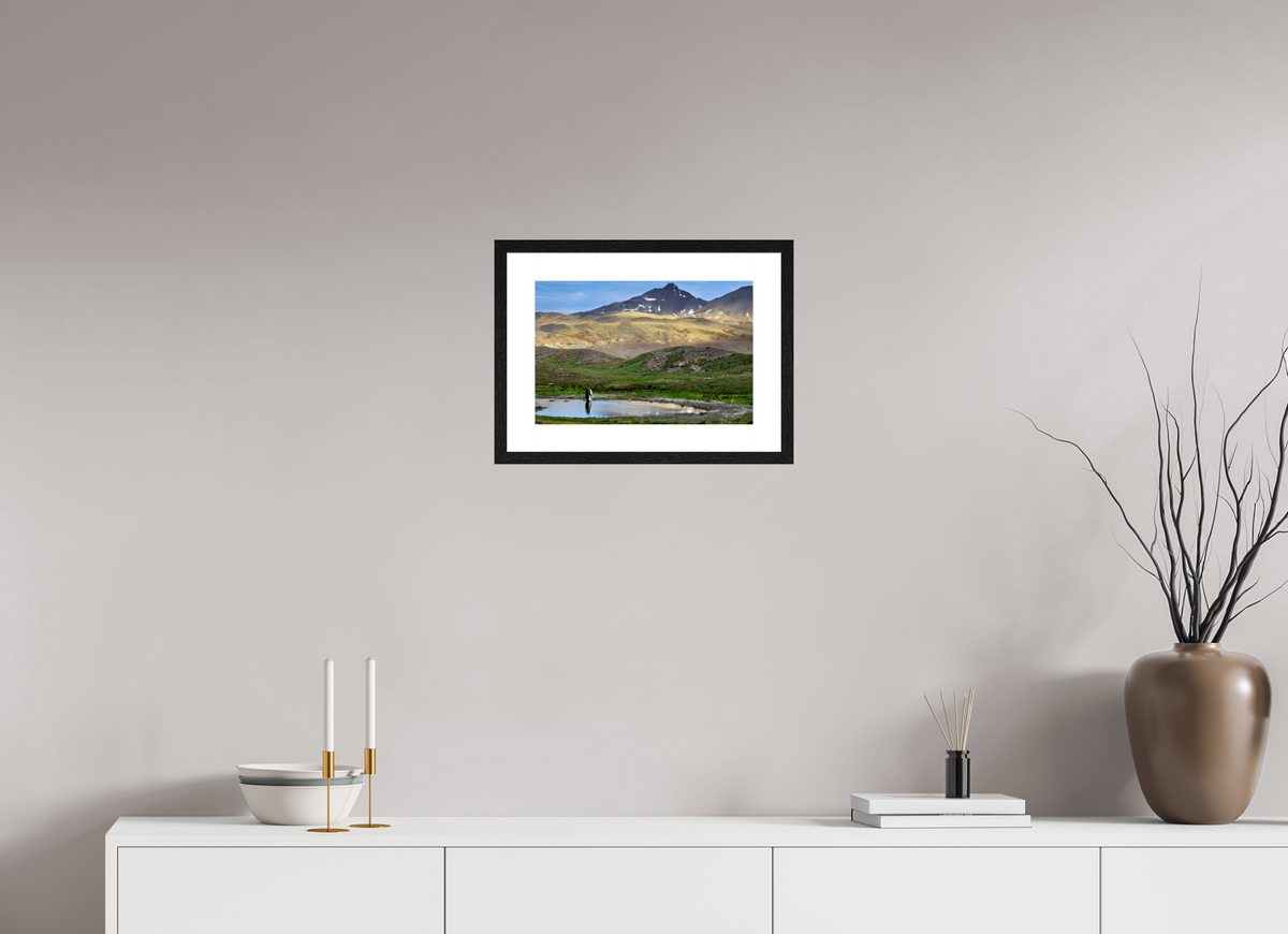 15 x 10″, Glossy Print (Framed) A21