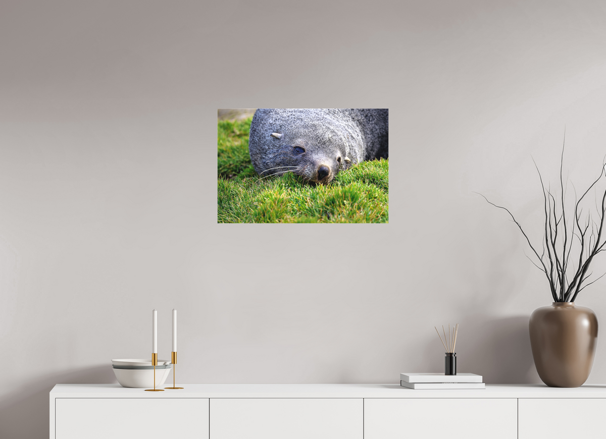 24 x 16″, Canvas Print A22