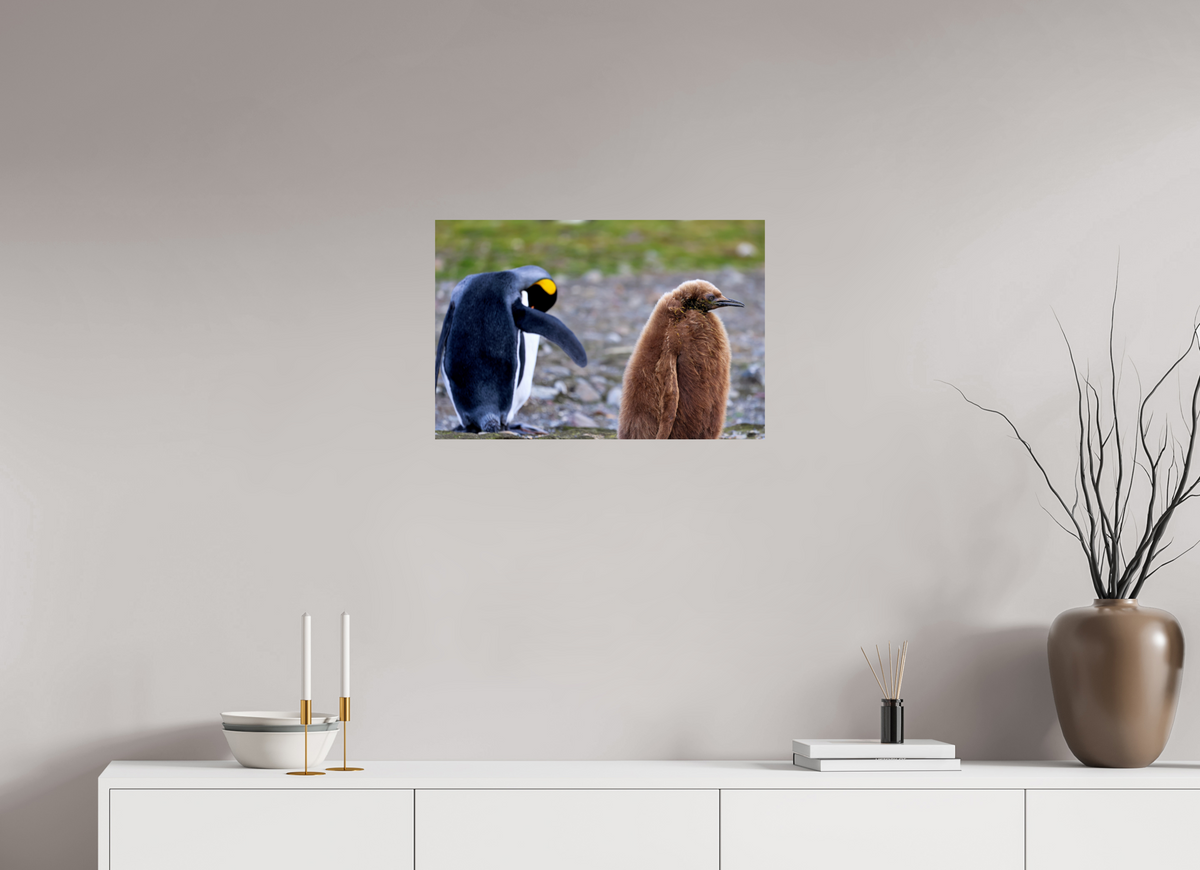 24 x 16″, Glossy Print (Unframed) A19