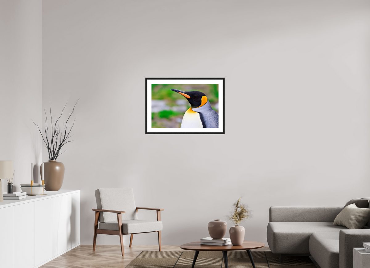 30 x 20″, Glossy Print (Framed) A12