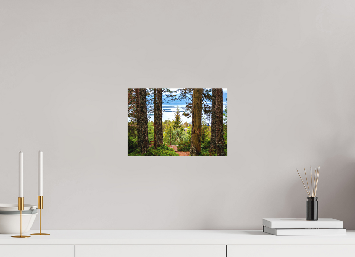 12 x 8″, Canvas Print Norway5