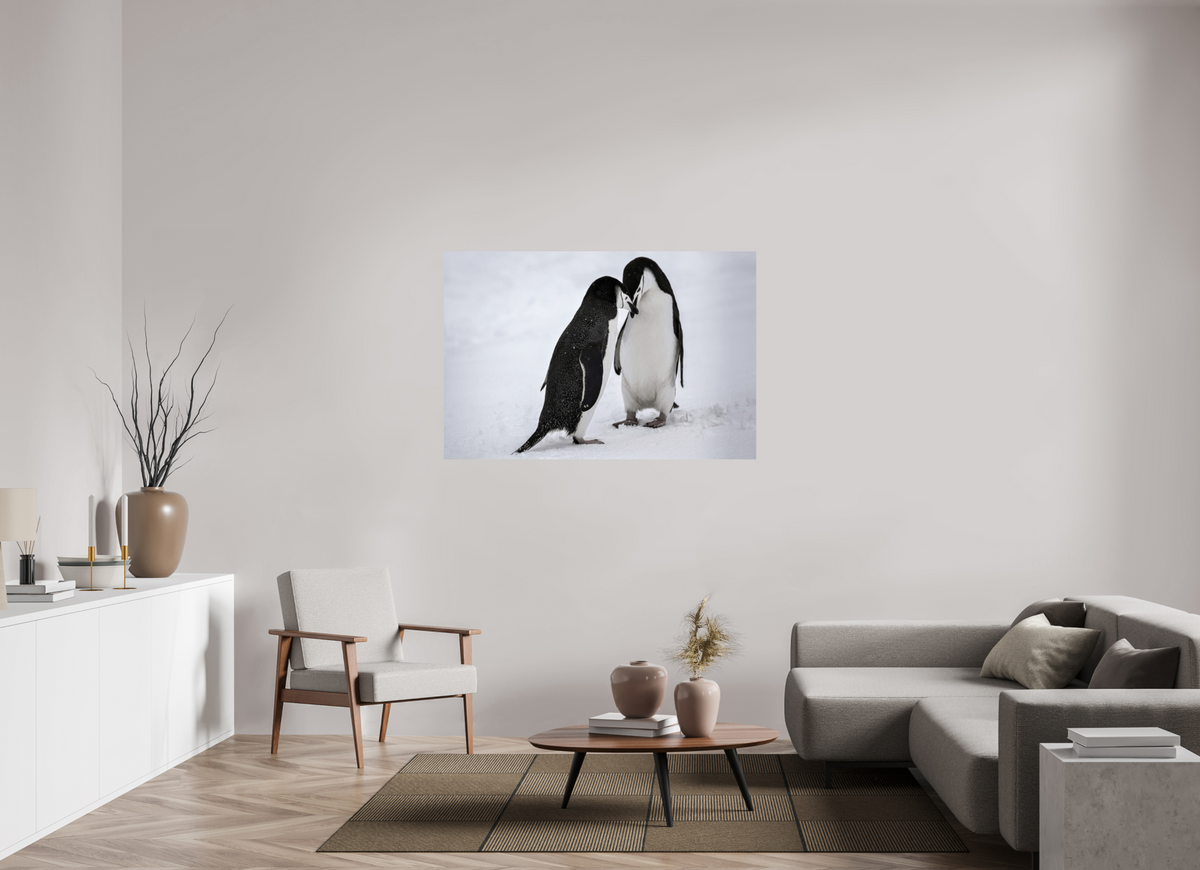 54 x 36″, Glossy Print (Unframed) A5
