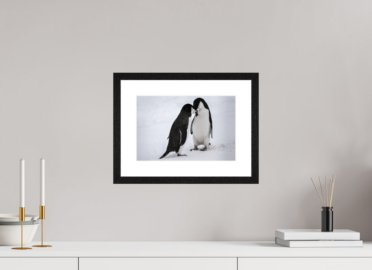 12 x 8″, Glossy Print (Framed) A5