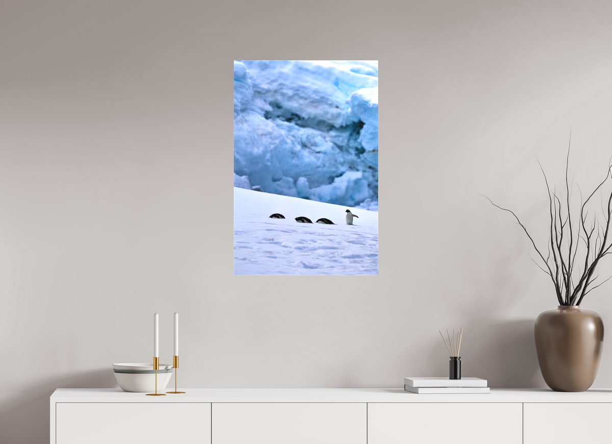 20 x 30″, Canvas Print A4