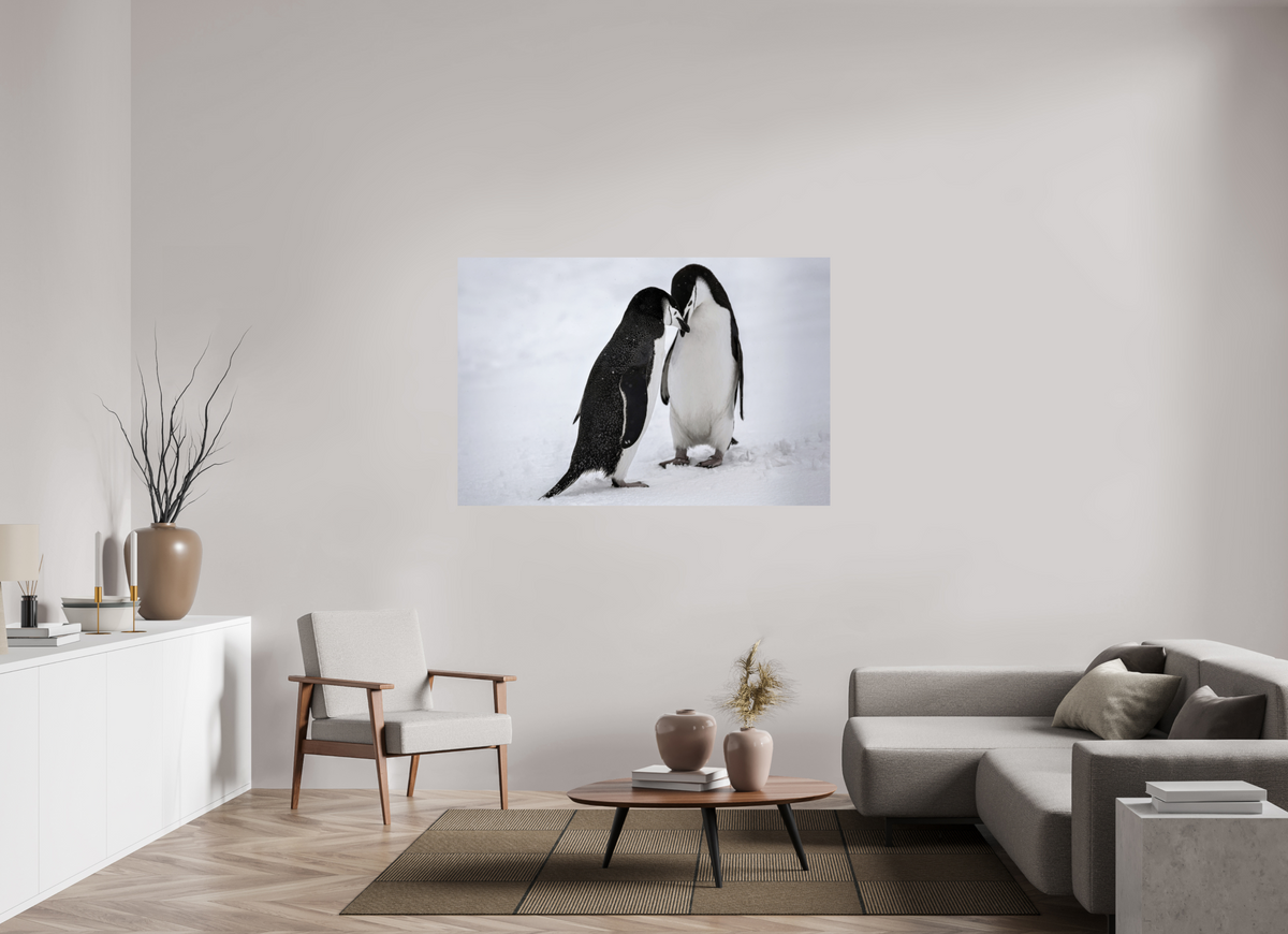 60 x 40″, Glossy Print (Unframed) A5