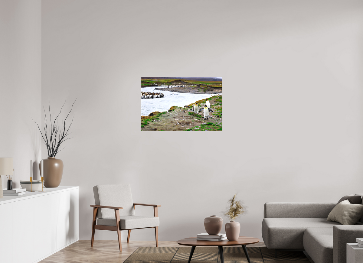 36 x 24″, Canvas Print A14