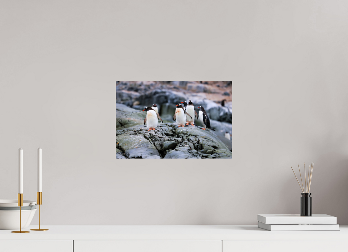 15 x 10″, Glossy Print (Unframed) A1