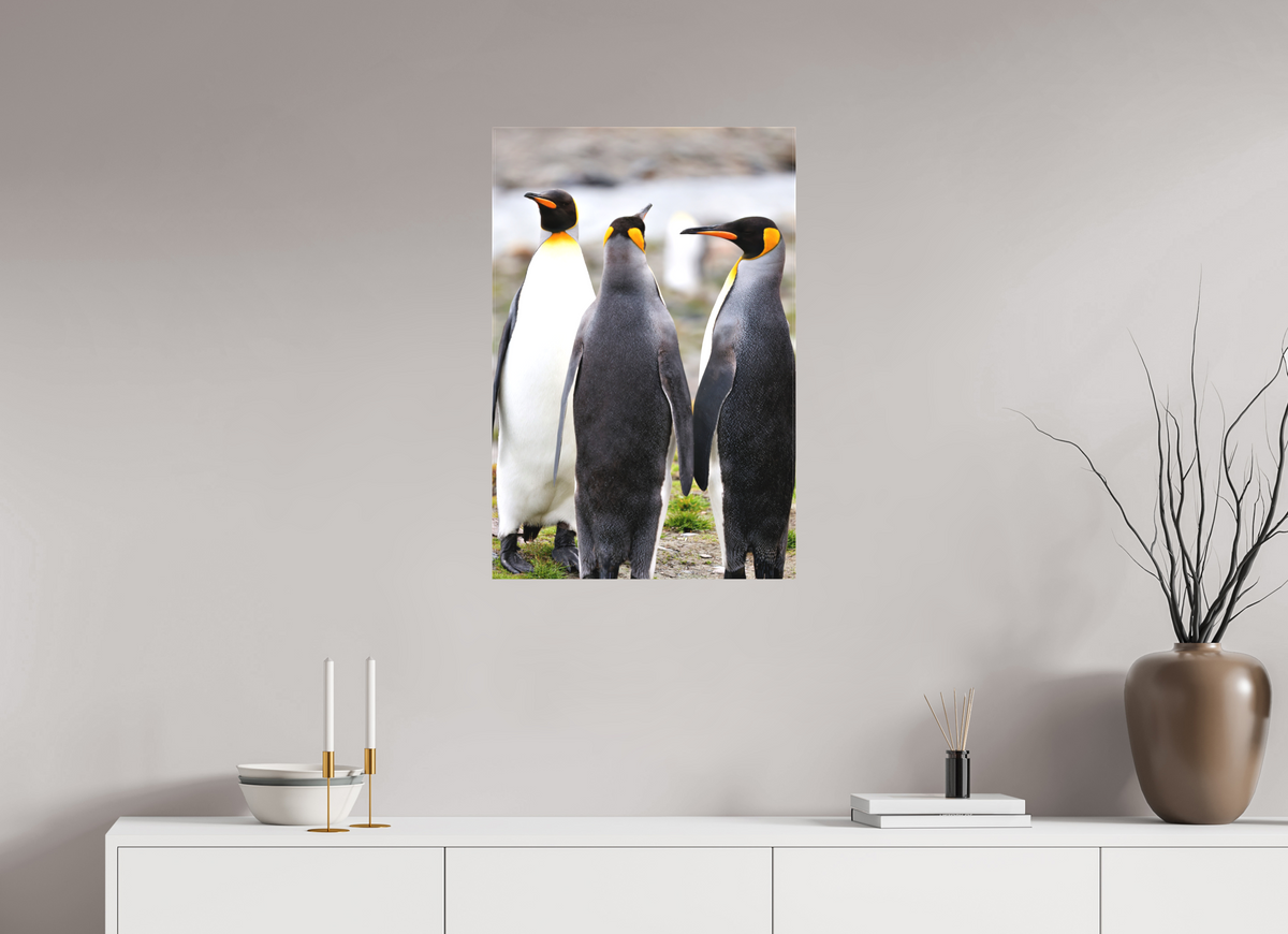 20 x 30″, Canvas Print A13